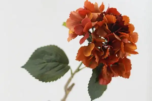 Can real touch hydrangeas be customized in different colors?